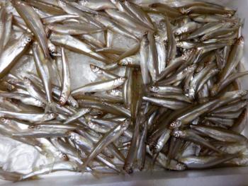 350(W)×263(H) 23.46