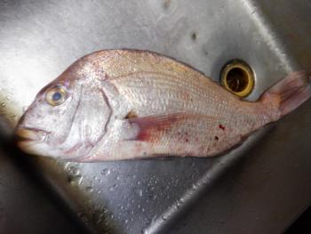 350(W)×263(H) 13.67