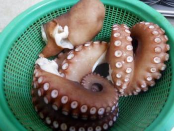 350(W)×263(H) 18.41