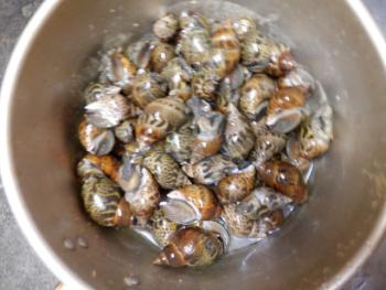 350(W)×263(H) 17.27