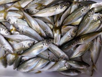 350(W)×263(H) 21.49