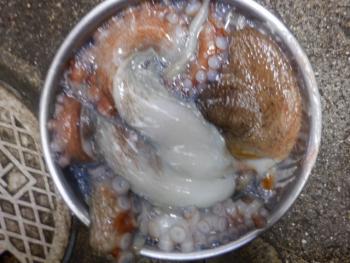 350(W)×263(H) 19.46