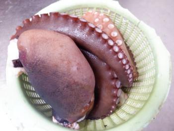 350(W)×263(H) 14.56