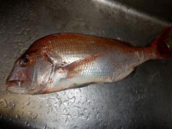 350(W)×263(H) 14.09