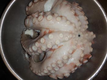 350(W)×263(H) 12.81