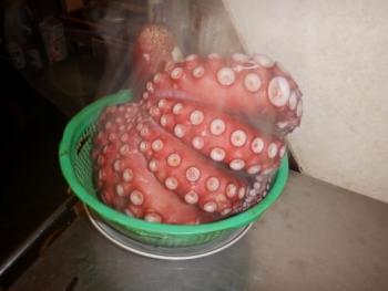 350(W)×263(H) 11.78