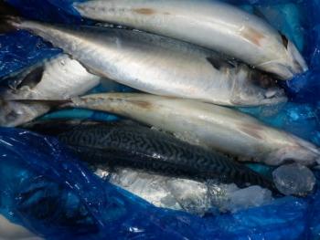 350(W)×263(H) 16.44