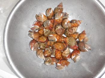 350(W)×263(H) 16.88