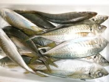 350(W)×263(H) 16.92