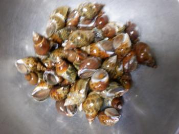 350(W)×263(H) 15.42