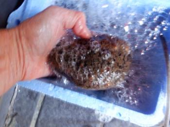 350(W)×263(H) 16.65