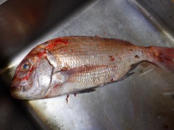 350(W)×263(H) 13.66