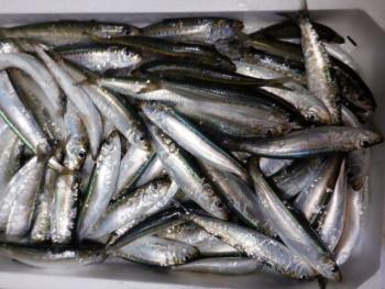 350(W)×263(H) 21.42