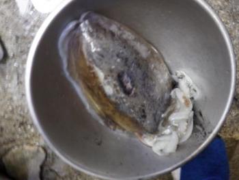 350(W)×263(H) 13.04