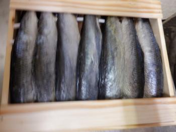 350(W)×263(H) 13.23