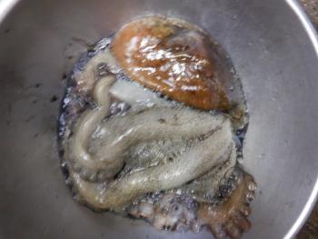 350(W)×263(H) 13.92