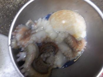 350(W)×263(H) 11.77