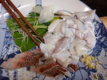 350(W)×263(H) 18.47