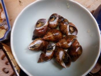 350(W)×263(H) 14.06