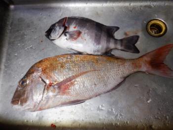 350(W)×263(H) 16.01