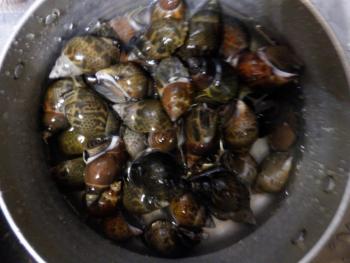 350(W)×263(H) 16.38