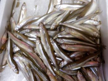 350(W)×263(H) 19.53