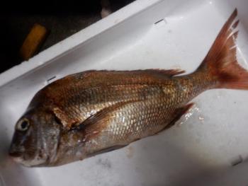 350(W)×263(H) 12.47