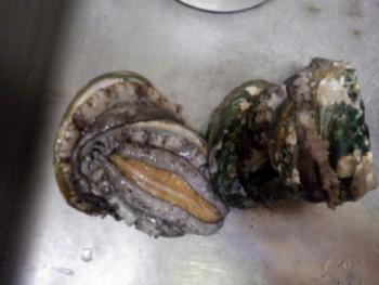 350(W)×263(H) 12.91