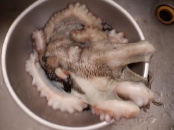 350(W)×263(H) 12.51