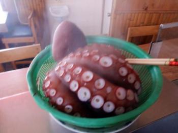 350(W)×263(H) 12.83