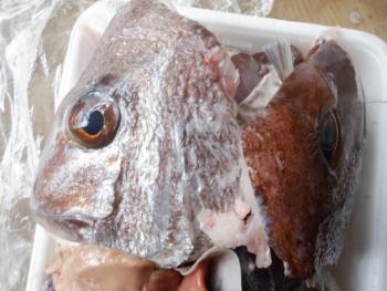 350(W)×263(H) 18.35