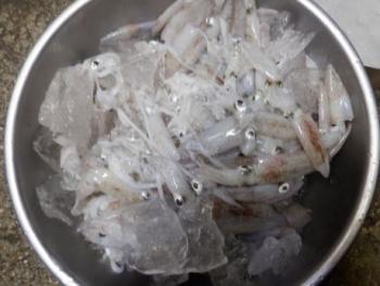 350(W)×263(H) 15.25