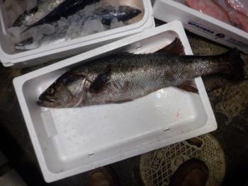 350(W)×263(H) 15.67