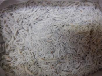 350(W)×263(H) 15.94