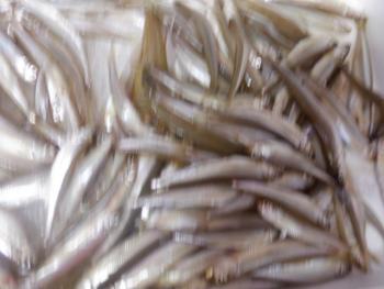 350(W)×263(H) 14.71