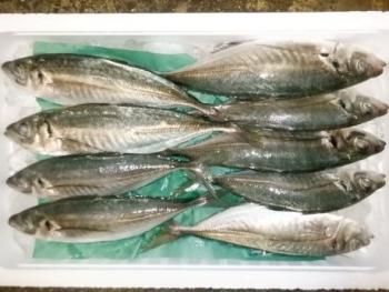 350(W)×263(H) 18.48