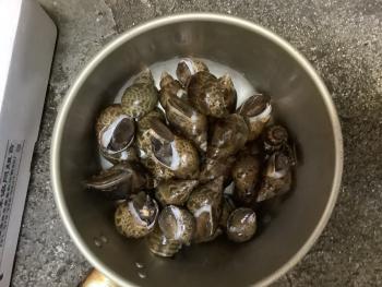 350(W)×263(H) 18.92