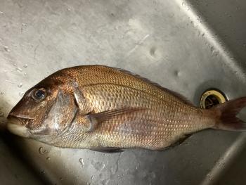 350(W)×263(H) 16.65