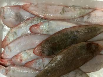 350(W)×263(H) 15.97