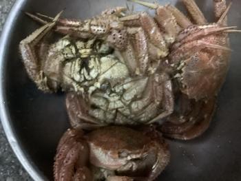 350(W)×263(H) 16.89